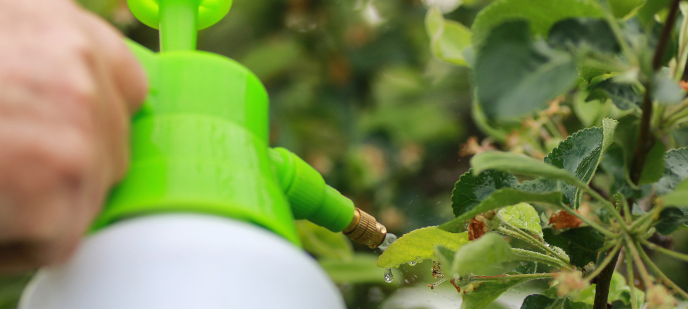 家庭菜園での木酢液使用ガイド: 商品の特徴、効果、注意点を徹底解説