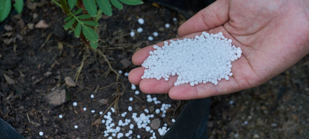 家庭菜園での化成肥料使用ガイド：特徴、メリット・デメリットを徹底解説