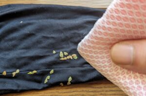 服やペットの悲劇を防ぐ！秋の天敵「くっつき虫」を一瞬で剥がす2026年最新の裏ワザと予防の新常識