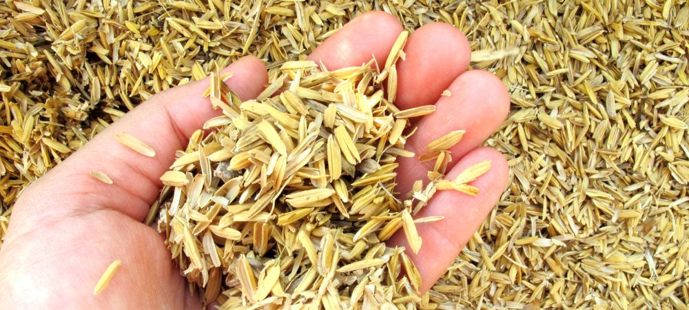 籾殻（もみがら）の再利用と効果的な使い方: 野菜作りにオススメの保湿・保温・通気性向上の秘訣と土や肥料での活用法